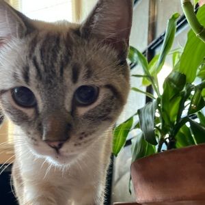 Meet your Posher, Lena